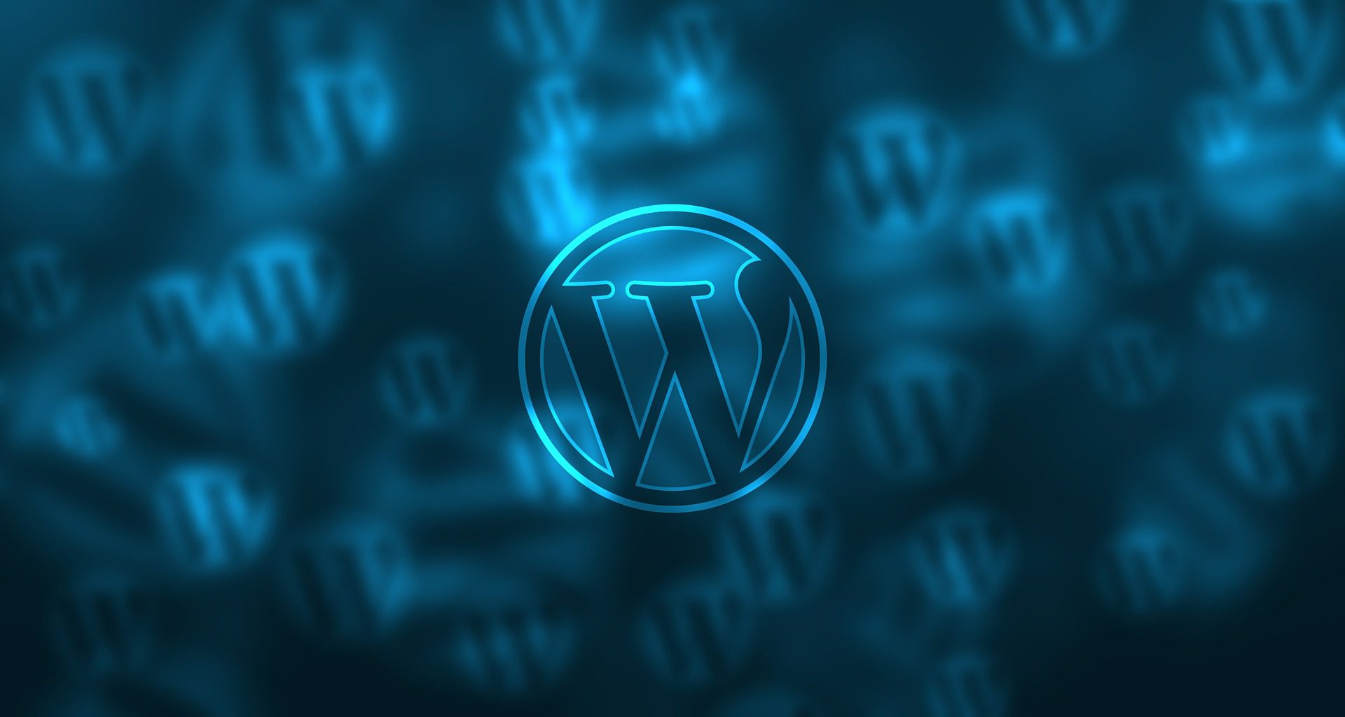 WordPress logotyp om säkerhet